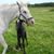 Jennifer Mosher's profile image