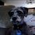 Trent Heiser's profile image