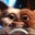 Magnus P's profile image