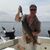 Dino Nardone's profile image