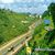 Md Sohel's profile image