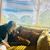Carrie Adank Carruth's profile image