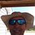 Glenn Murphey's profile image