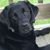 Bridget Haley's profile image