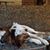 Darrell Van Tilburg's profile image