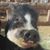 Haven Hinson's profile image