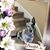 LouAnn Reid's profile image