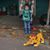 Dawn Dyer's profile image