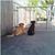 Dana Kotas McFeely's profile image
