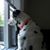 Marie Lavallee Pike's profile image
