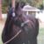 Michelle Marie Ferland's profile image