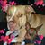 Christina Shelly Flanagan's profile image