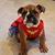 Eileen Gaffney's profile image