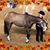 Jacki Kagarise Walker's profile image