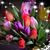 Joanna Tackman's profile image