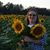 Nancy Geise's profile image