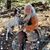 Rhonda Boughner Cates's profile image