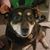 Wendy Wilson's profile image