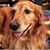 Kerry Campbell's profile image