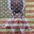 Jennifer Tolbert's profile image
