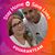 Orelvis Martinez's profile image