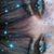 Margaret Kauffman Donnan's profile image