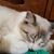 Gwenda Raabe's profile image