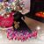 Angela Biggers's profile image