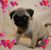 Linda Ball's profile image
