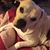 Anne Corrigan Orminski's profile image