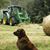 Samson Trewyn's profile image