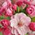 Malsha Wijesuriya's profile image