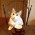 Lucy George's profile image