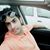 Ali Samadi Ashin's profile image
