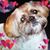 Peggy Hudson Auffarth's profile image