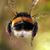 Sherry Callaway's profile image