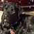 Evonne Raglin's profile image