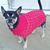 Tracey Jscibilia's profile image