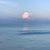 Denise Whittaker Carr's profile image