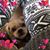 Natalia Orias's profile image