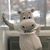 Charlotte Gaynor's profile image