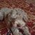 Penny Aldana's profile image