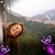 Adriana Troh's profile image