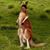 Rebecca Stone's profile image