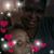 Teresa Shropshire's profile image