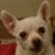 Shirley Nichols Casey's profile image