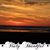 Linda Griggs's profile image