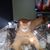 Shannon Renee Lane's profile image