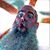 Nate Shuttleworth's profile image