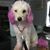 Gloria Rivas's profile image